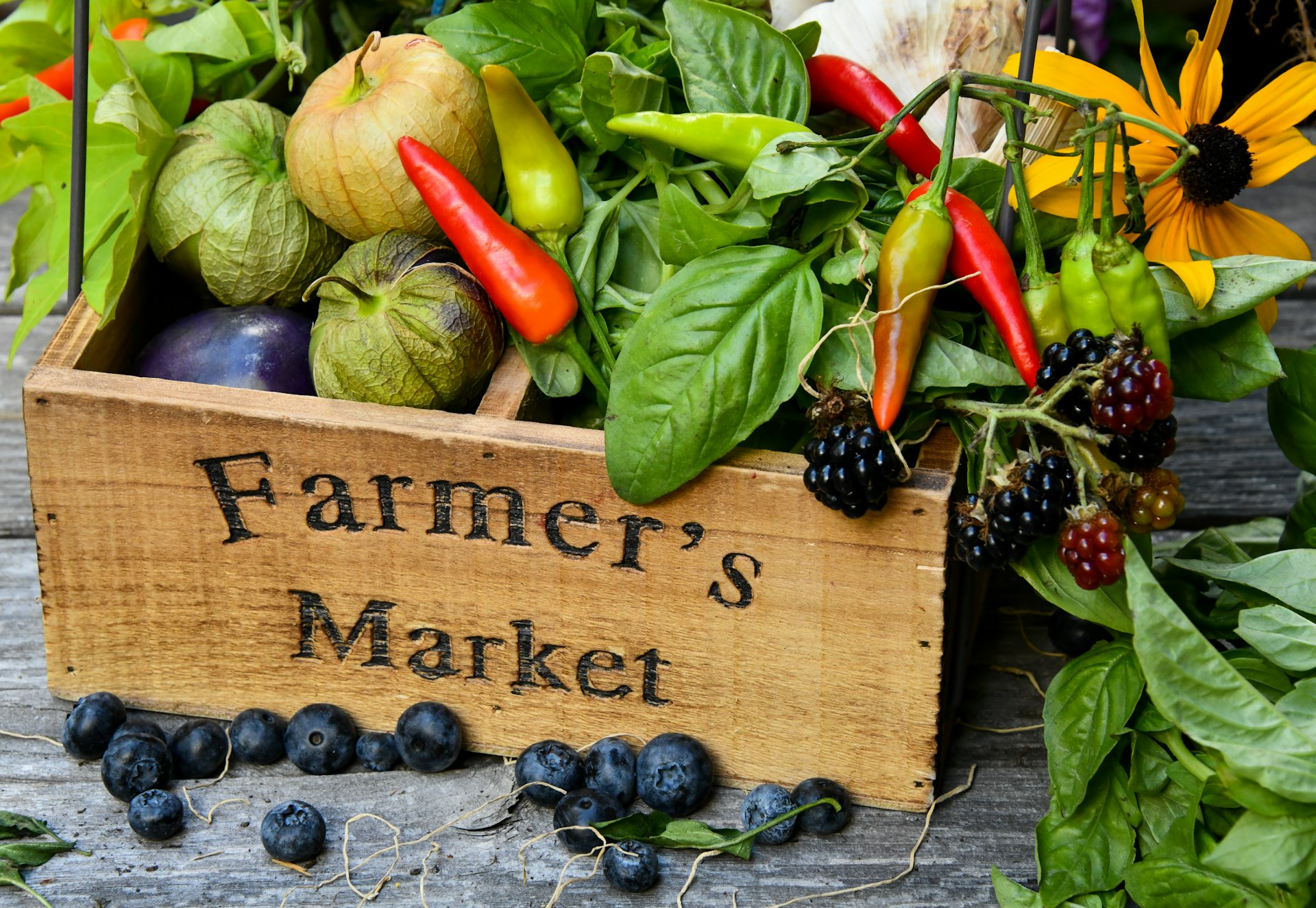 Farmers market morning scene