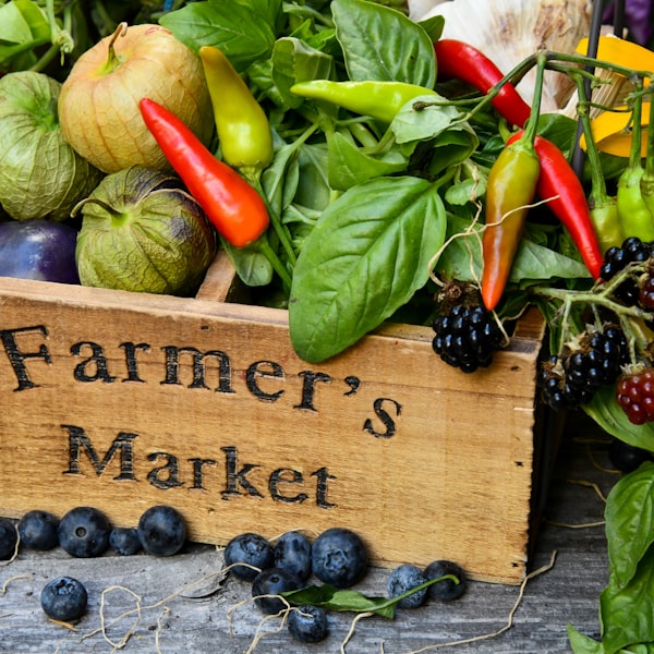 Louisiana Locavores market photo 2